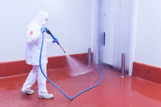 Best Oil Spill Cleanup  in Coronita, CA
