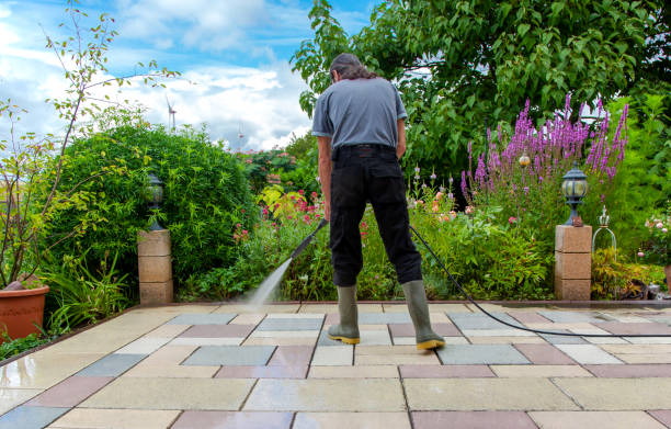 Best Fence Cleaning  in Coronita, CA